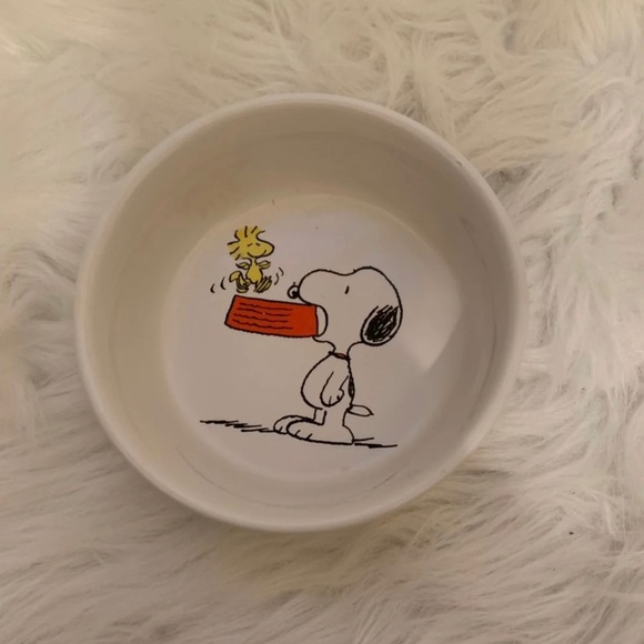 Peanuts Other - MAKE AN OFFER CHARLIE BROWN PET BOWL